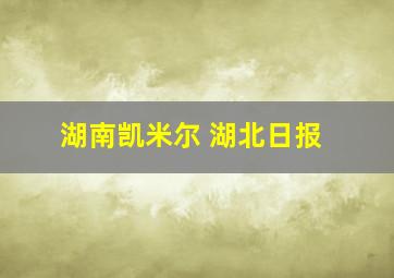 湖南凯米尔 湖北日报